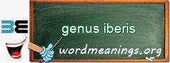 WordMeaning blackboard for genus iberis